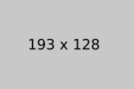 Alternative text