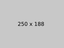 Alternative text