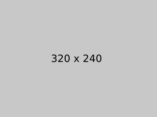 Alternative text