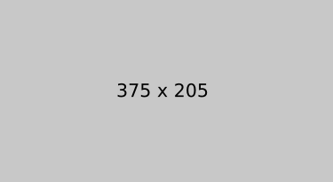 Alternative text