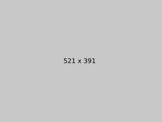 Alternative text