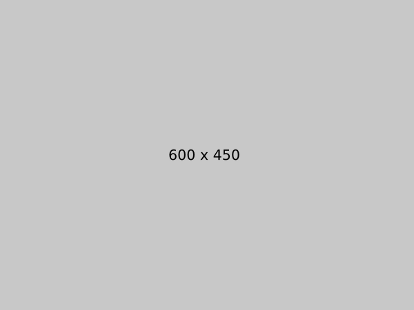 Alternative text